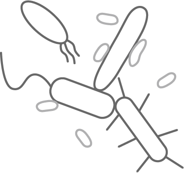Cartoon showing bacterial interactions